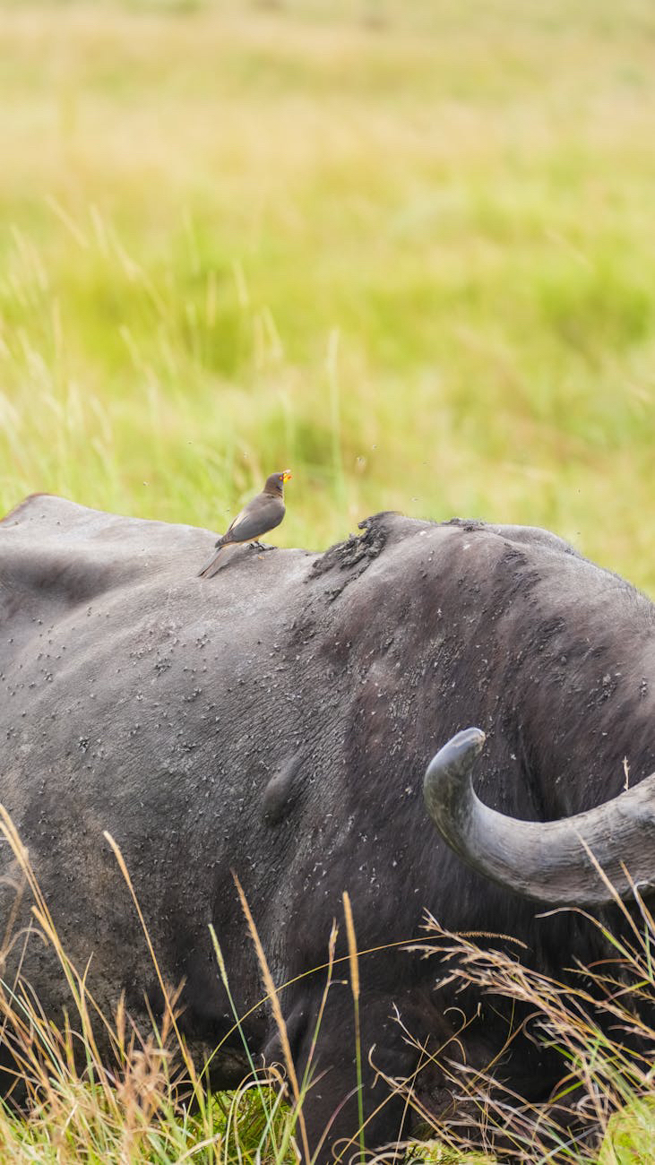 Understanding Life Insurance Riders: A Comprehensive Guide to Enhancing Your&nbsp;Policy